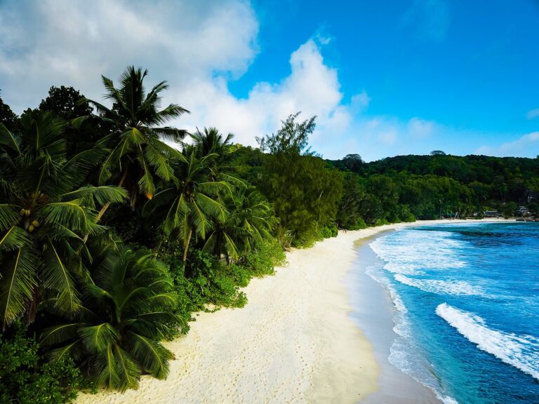 Seychellen langer Strand mit Palmen