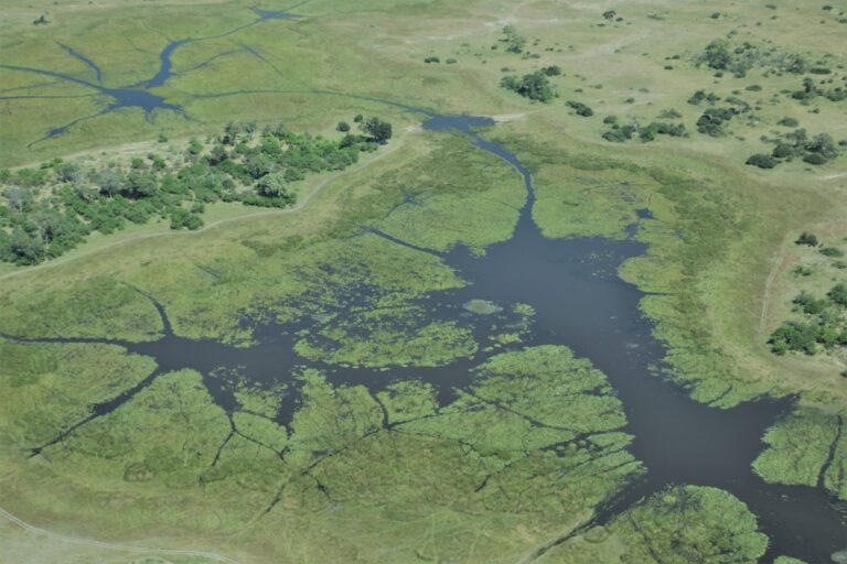 Okavango Delta Luftaufnahme