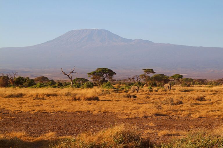 Blick auf Kilimandscharo