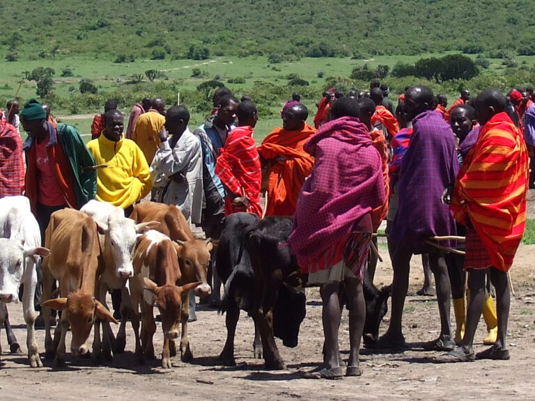 Masai Mara Viehmarkt