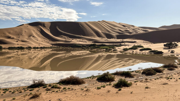 Sossusvlei Deadvlei