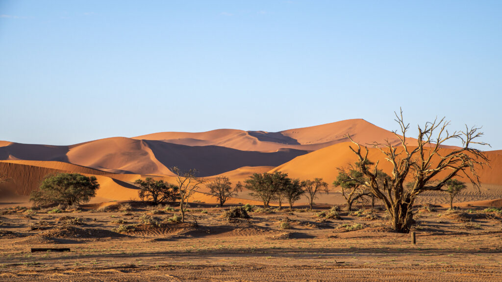 Sossusvlei Rote Dünen