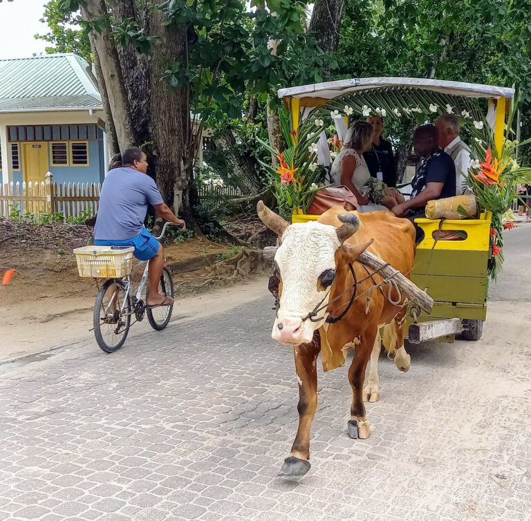 Seychellen Hochzeitsreise Kutschfahrt