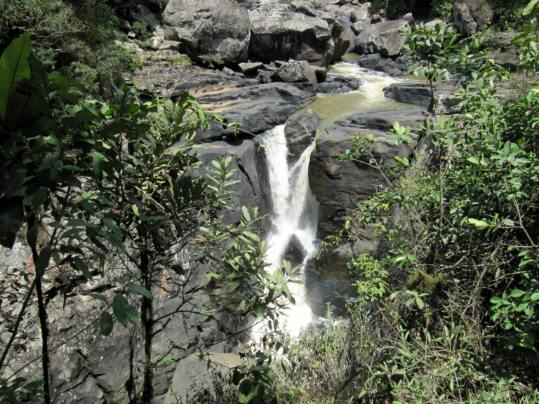 Ranomafana Nationalpark Wasserfall